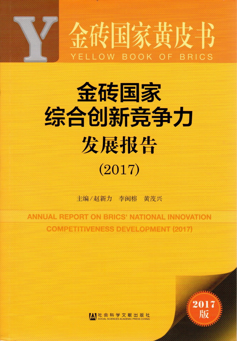 我操了大胸骚货网站金砖国家综合创新竞争力发展报告（2017）